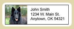 Belgian Sheepdog Address Labels