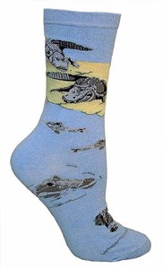 Alligator Socks