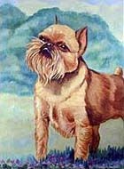 Brussels Griffon Garden Flag