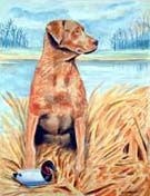 Chesapeake Bay Retriever Garden Flag