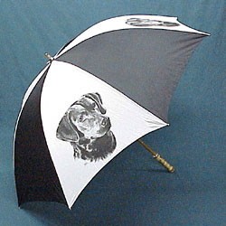 Chesapeake Bay Retriever Umbrella