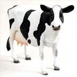 Holstein Cow Figurine