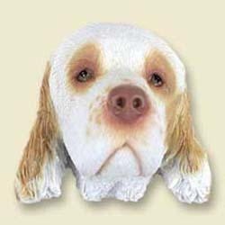 Clumber Spaniel Magnet
