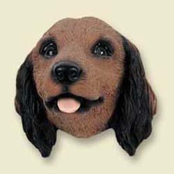 Red Longhair Dachshund Magnet