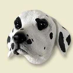 Dalmatian Magnet
