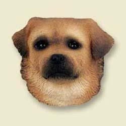 Tibetan Spaniel Magnet