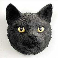 Black Cat Magnet