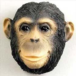 Chimpanzee Magnet