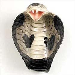 Cobra Magnet