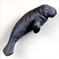 Manatee Magnet
