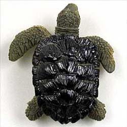 Sea Turtle Magnet