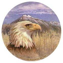 Eagle Drink Coasters
