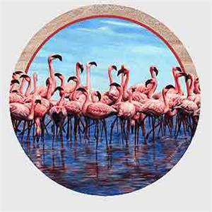 Flamingo Drink Coasters
