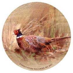 Pheasant Drink Coasters