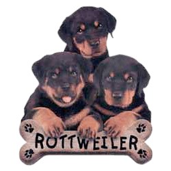 Rottweiler T-Shirt - Trio of Three