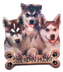 Siberian Husky T-Shirt - Trio of Three