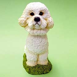 Bichon Frise Bobble Head