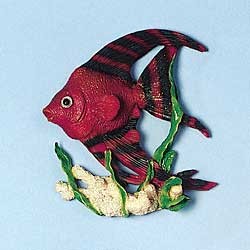 Angel Fish Magnet
