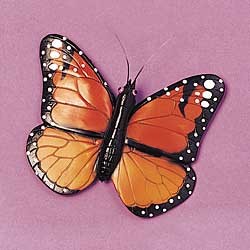 Butterfly Magnet