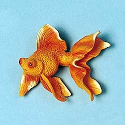 Goldfish Magnet