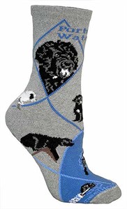 Portuguese Water Dog Socks