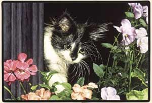 Black & White Cat Floormat
