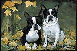 Boston Terrier Floormat