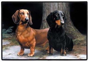 Dachshund Floormat