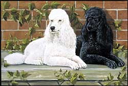 Poodle Floormat