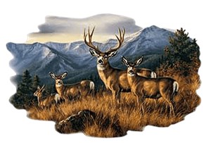 Deer T-Shirt - Tranquil Moment
