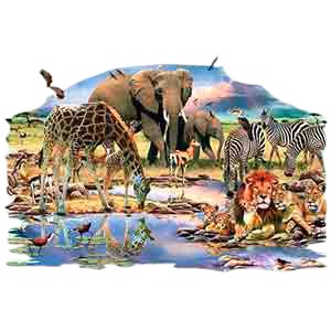 Animal T-Shirt - Animal Kingdom
