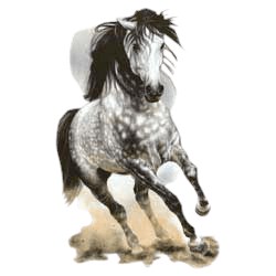 Gray Horse T-Shirt - Eye Catching