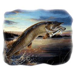 Muskie T-Shirt - In Full Color