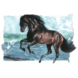 Thoroughbred Horse T-Shirt - Breathtaking Stallion
