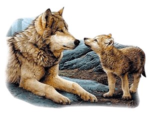 Wolf T-Shirt - With Northern Lights