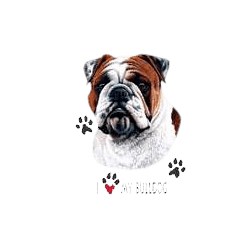 Bulldog T-Shirt - Linda Picken