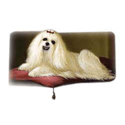 Maltese T-Shirt - Linda Picken