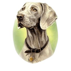Weimaraner T-Shirt - Linda Picken