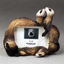 Ferret Picture Frame