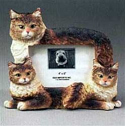 Maine Coon Cat Picture Frame