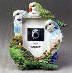Parakeet Picture Frame