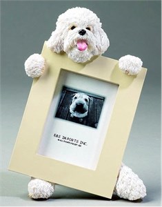Bichon Frise Picture Frame