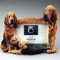 Bloodhound Picture Frame