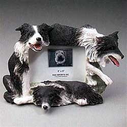 Border Collie Picture Frame
