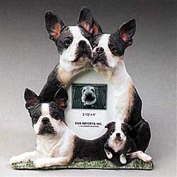 Boston Terrier Picture Frame