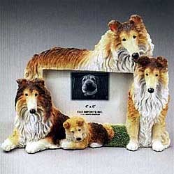 Collie Picture Frame