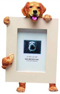 Golden Retriever Picture Frame