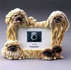 Pekingese Picture Frame