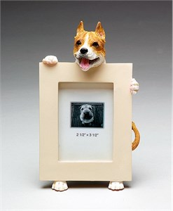 Pit Bull Terrier Picture Frame