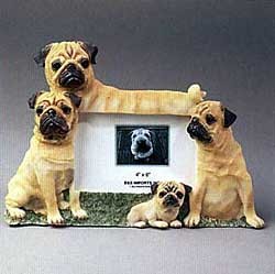 Pug Picture Frame